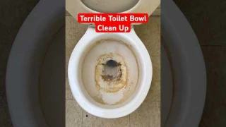 The Dirtiest Toilet Bowl I Have Ever Cleaned