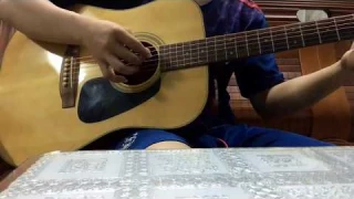 Guitar Acoustic Morris MD-502 (Natural Color)