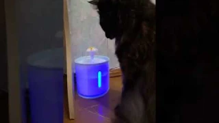 Автоматический фонтанчик с водой для кошек, СВЕТОДИОДНЫЙ Электрический бесшумный фонтан-поилка с Али