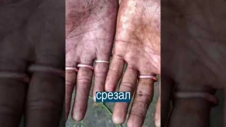 Срезал кожу с пальца и отправил на экзамен друга