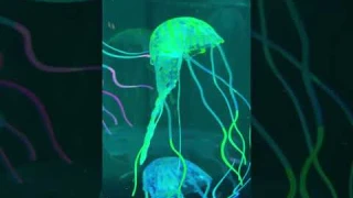 Лампа-медуза – светодиодный аквариум для релаксации и уюта | Светильник с плавающими медузами