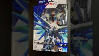 Freedom Gundam!
