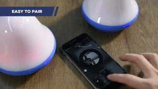 Westinghouse Solar Pool Light,Bluetooth 5W Speaker Solar Floating Lamp Underwater Multi-Colo Reviews