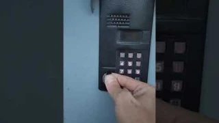 Умное кольцо проверка на домафоне с чипом от Емарина сам не ожидал.