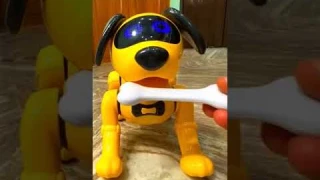 RC Робот-Собака 🤖🐕