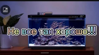 Какие минусы у Xiaomi?)