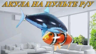 Акула с дистанционным управлением с Алиэкспресс.Летающяя надувная рыба игрушка.