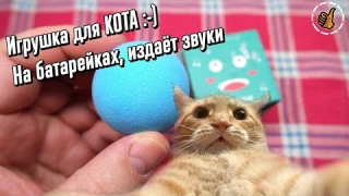 Игрушка для кошек - звуковой мяч
