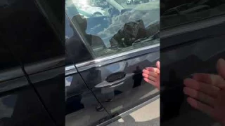 Не работает бесключевой доступ , в чем проблема?