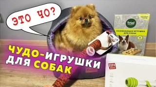 Развивающая игрушка для собак Счеты Triol. Кость Petgeek Playbone GiGwi. Домик для животных Gamma