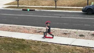 Kick Scooters for Kids Ages 3-5 (Suitable for 2-12 Year Old) Adjustable Height Foldable Scooter