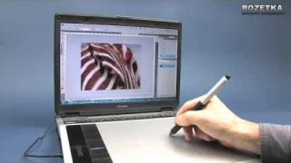 Графический планшет Wacom Bamboo Fun Pen&Touch M