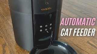 WOPET Automatic Cat Feeder FT30 Review: Easy and Convenient