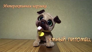 Интерактивная игрушка "умный питомец"