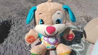 Another Review of Fisher Price Laugh and Learn Smart Stages Puppy 2017