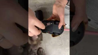 Мышь на радиоуправлении 🙀 интерактивная игрушка для кота 😻#shorts #кот #котики #кошки