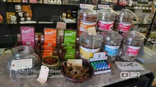 Long Live Cats Dogs a Pet Store in Vancouver selling Pet Food and Pet Supplies
