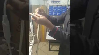 warmwhite snake light