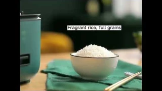 German Multifunctional Rice Cooker