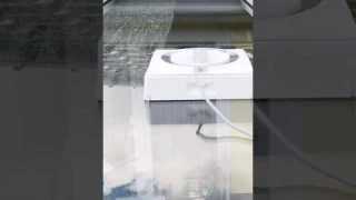 Wäre so ein Fensterputzroboter was für euch? ECOVACS WINBOT W2 OMNI #shorts #ecovacs #winbotw2omni