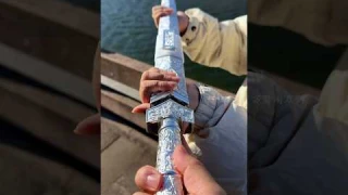 #Longquan Sword # Chinese Cold Weapon # Han Sword # Wuxia Dream # Hand crafted Unfinished Blade