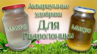 Спатифиллум  сенсация Гидропоника на аквариумных удобрениях, будет ли эффект... ?