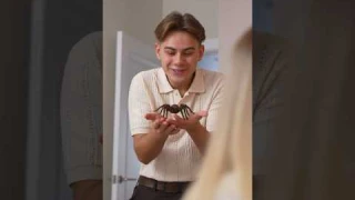 МЕНЯ УКУСИЛ ПАУК #shorts