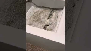 Scoop Free clumping litter robot  demo. Not the crystal litter!