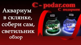 Аквариум в банке с рыбками мини [Подарок светильник ночник] С Подарком