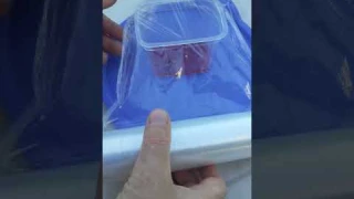 ЛОВУШКА для МУХ и ОС своими руками