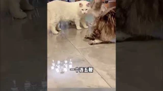 Игрушки для кошек,Интерактивная игрушка мышь на дистанционном радио управлении