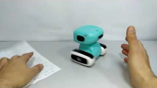 Робот с записью голоса. Звуки, свет, танцует.
