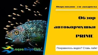 Автокормушка для рыб в аквариуме Prime: видео обзор👍