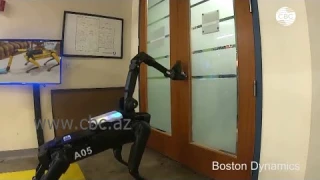 Робот-собака Spot умеет убирать квартиру и сажать цветы