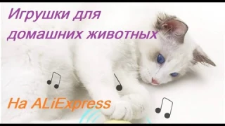 Игрушки для домашних животных. Товары на AliExpress