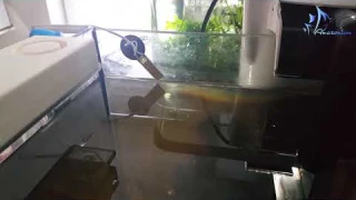 Датчик уровня воды. Water level alarm.
