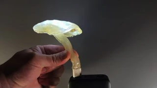 Ночник ГРИБ usb