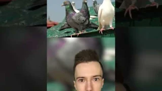 Вот почему нельзя облизывать сосульки #Shorts