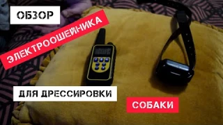 Электронный ошейник для дрессировки собак -  Pet DTC-800. Как работает электронный ошейник
