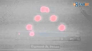 Варочная поверхность Zigmund & Shtain CIS 189.60 WX