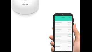 YoLink Motion Sensor: Long-Range Security Review