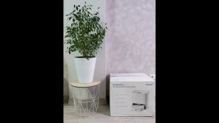 Моющий робот-пылесос Xiaomi Dreame Bot W10 Pro