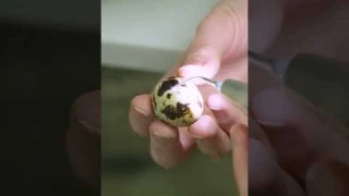 Чистка зубов ультразвуком РАЗРУШАЕТ ЭМАЛЬ? / Мнение о профессиональной чистке #shorts