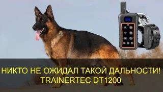 Обзор дрессировочного ошейника Trainertec DT 1200