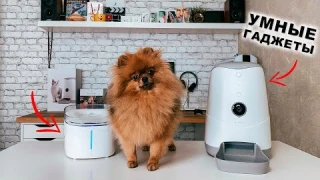 Умная кормушка Petoneer Nutri Vision и поилка Fresco Ultra для ваших любимых питомцев