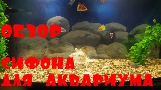 Сифон для аквариума с АлиЭкспресс