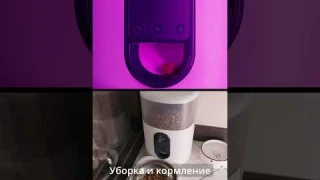 ТОП-10 функций умного дома!