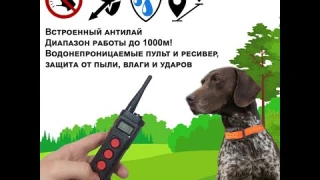 Видео электронного ошейника Aetertek AT-919C, электроошейник для дрессировки собак
