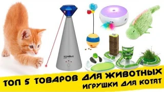 ✔ Топ 5 ИГРУШКИ ДЛЯ КОТОВ, КОШЕК И КОТЯТ / ТОВАРЫ ДЛЯ ЖИВОТНЫХ
