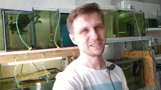 В этом виноват обратный клапан, а точнее его отсутствие! Новости.